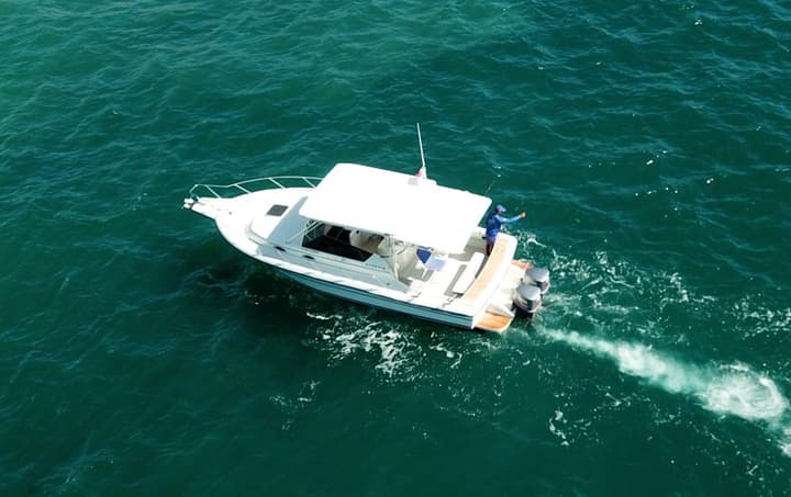 4 hr Half Day Beach Tour Catalina Island