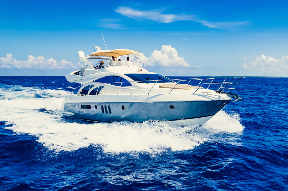 6 hour tour (coast & cove) - Lite Price