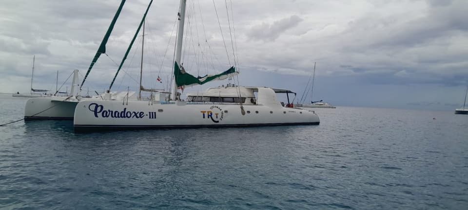 Catamarán de lujo Paradox de 83 ft