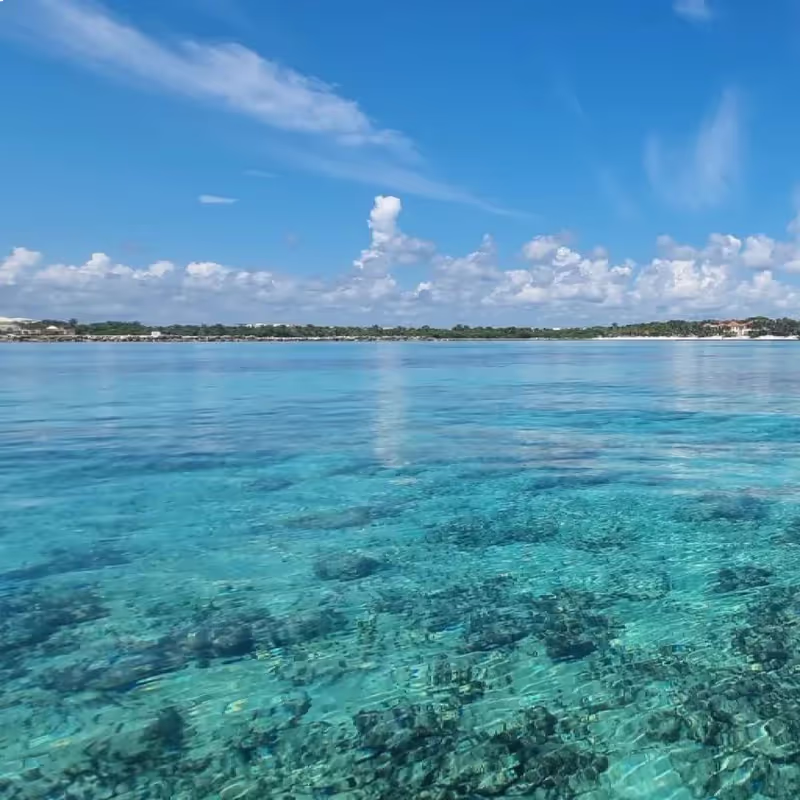 3 hour Puerto Aventuras Bay