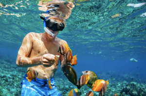 Boat Snorkeling