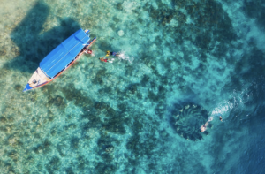 Boat Snorkeling