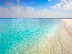 best Snorkeling in Cozumel Palancar beach