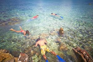 best Snorkeling in Cozumel columbia reef