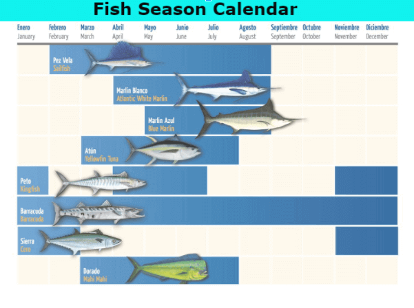 Fishing Calendar Playa del Carmen Mayan Riviera