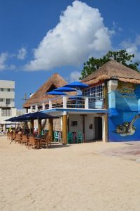 Best Snorkeling in Cozumel sunset beach sand dollar 