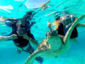 Playa del Carmen Snorkeling