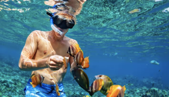 Snorkel Spots Around Playa Del Carmen