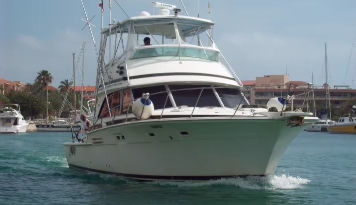 ¿Estás planeando un tour de pesca en Playa del Carmen?