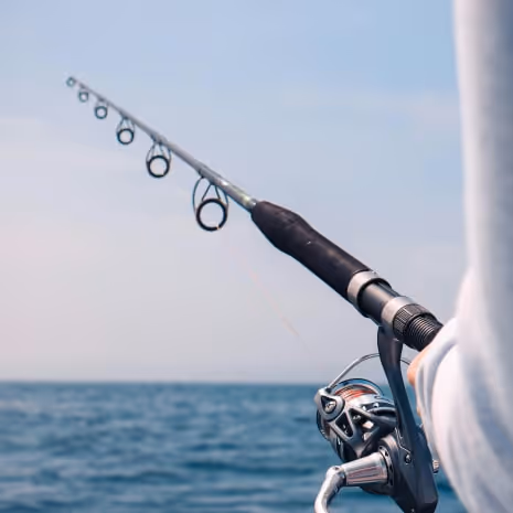 Fishing Equipment