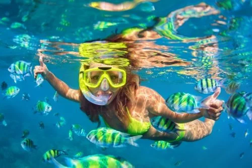 best Snorkeling in Cozumel and other things to do