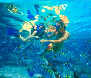Top places to snorkel in Cancun xel ha