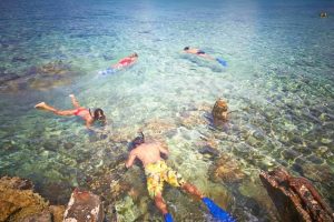 best Snorkeling in Cozumel columbia reef